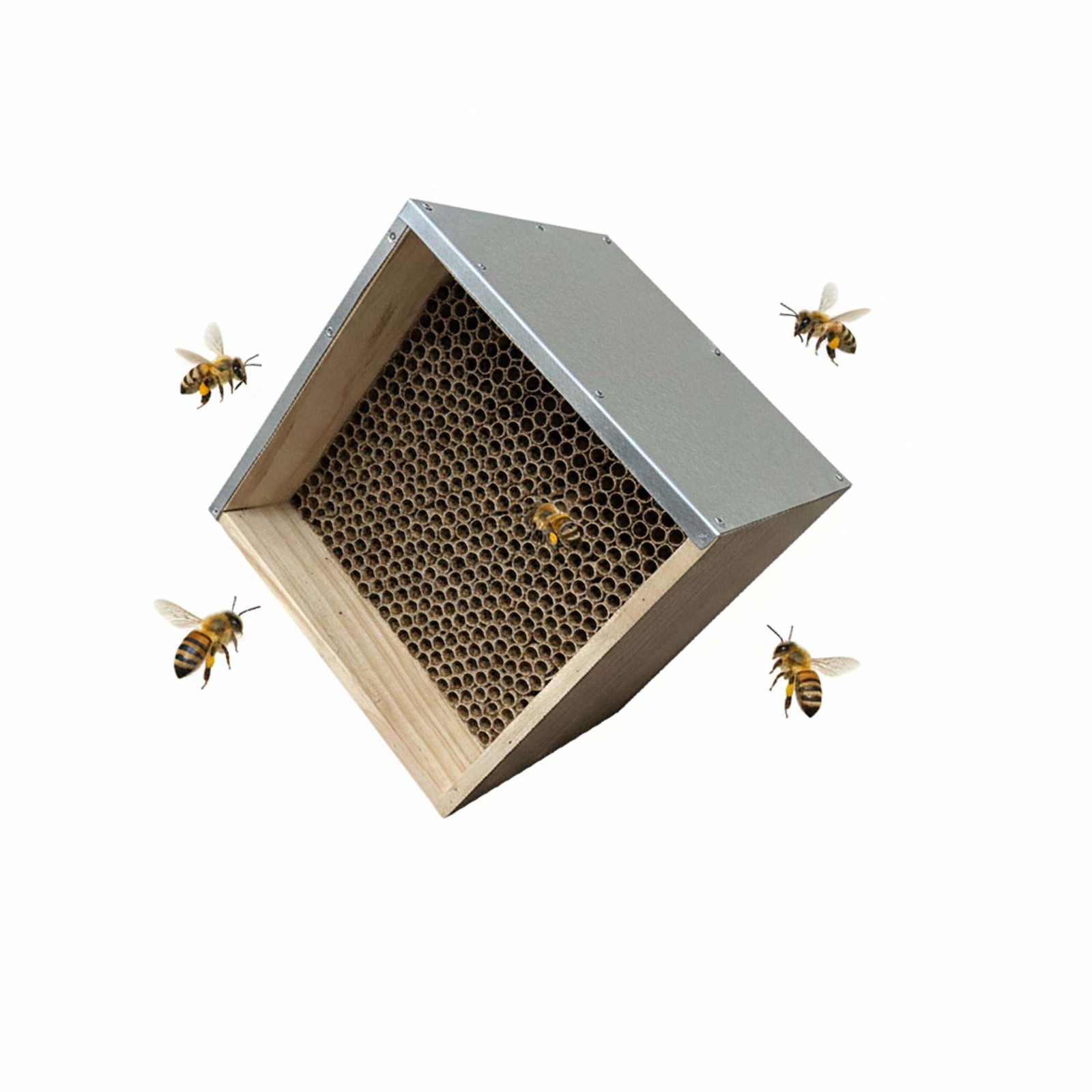 Bihotel med metaltag – Beskytter vilde bier