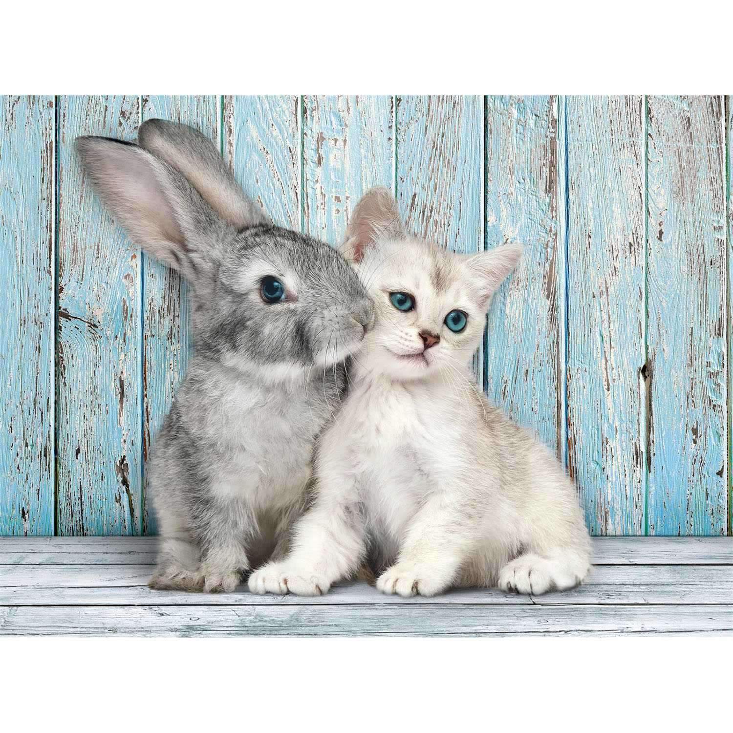 500 st. CB HQC Cat & Bunny | Hem & Hobby | Pryloteket