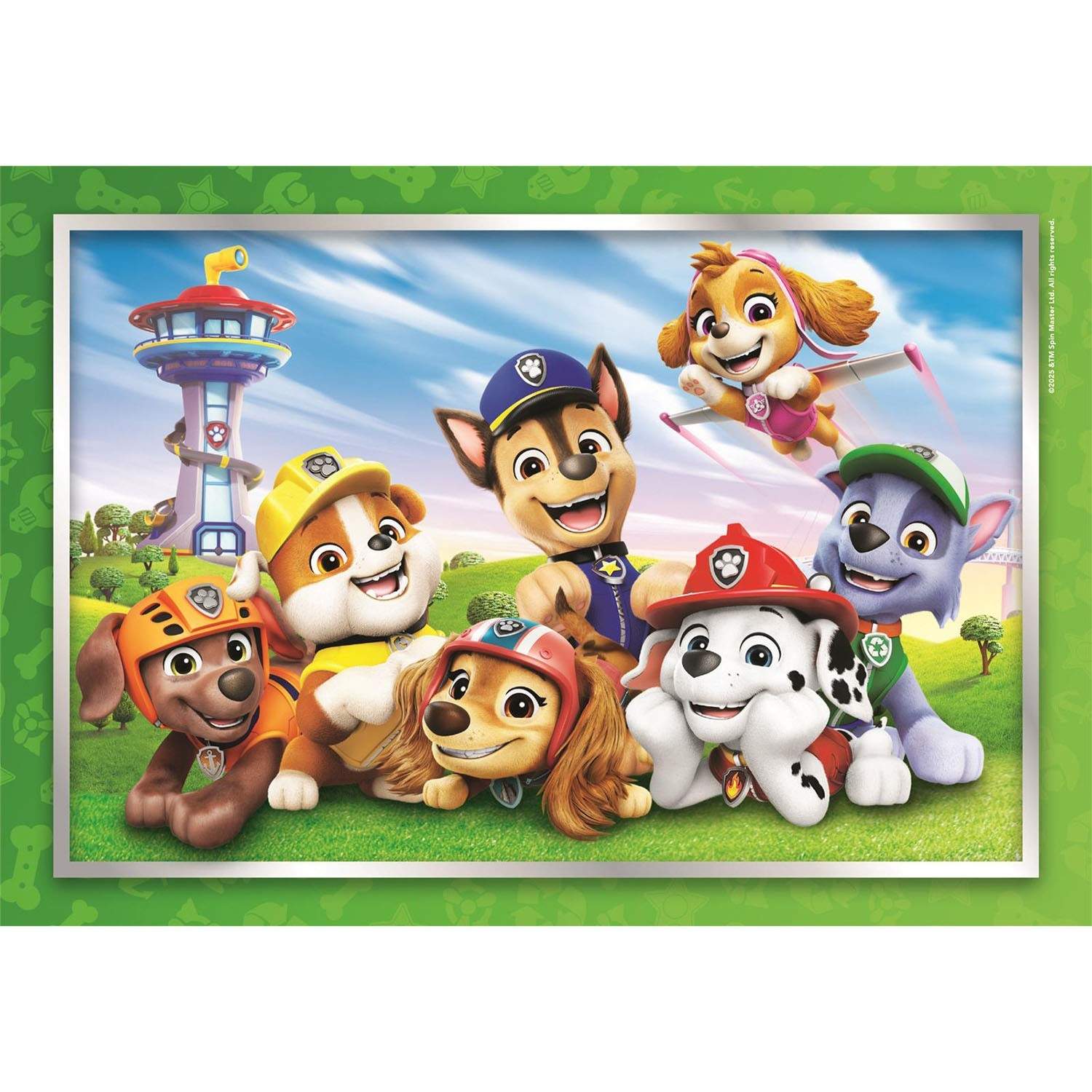 PZL 60 PAW PATROL