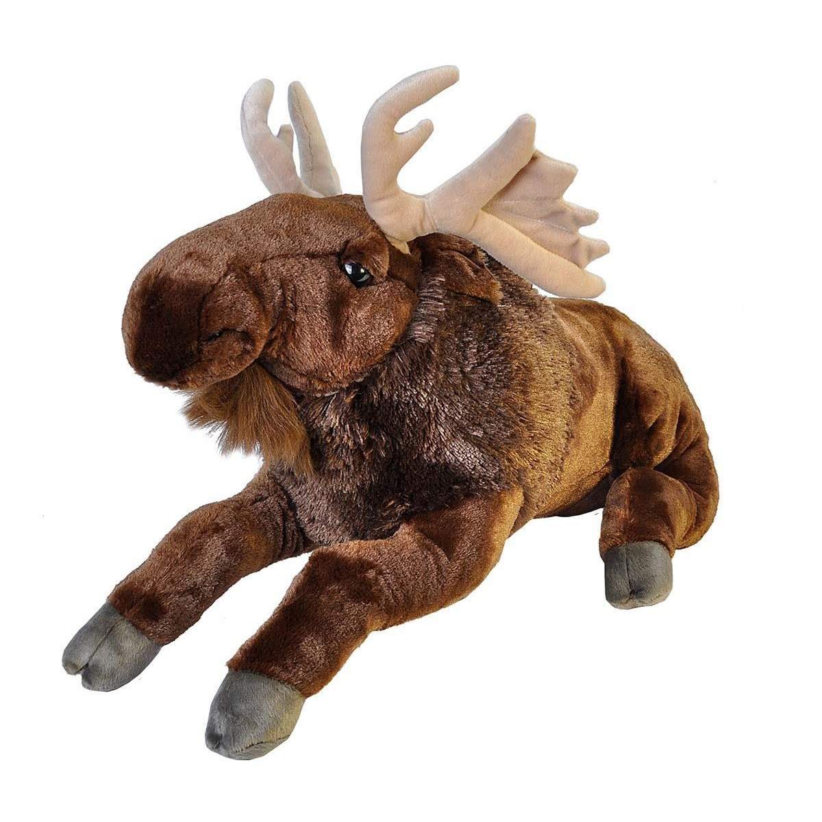 CK JUMBO MOOSE 76 CM