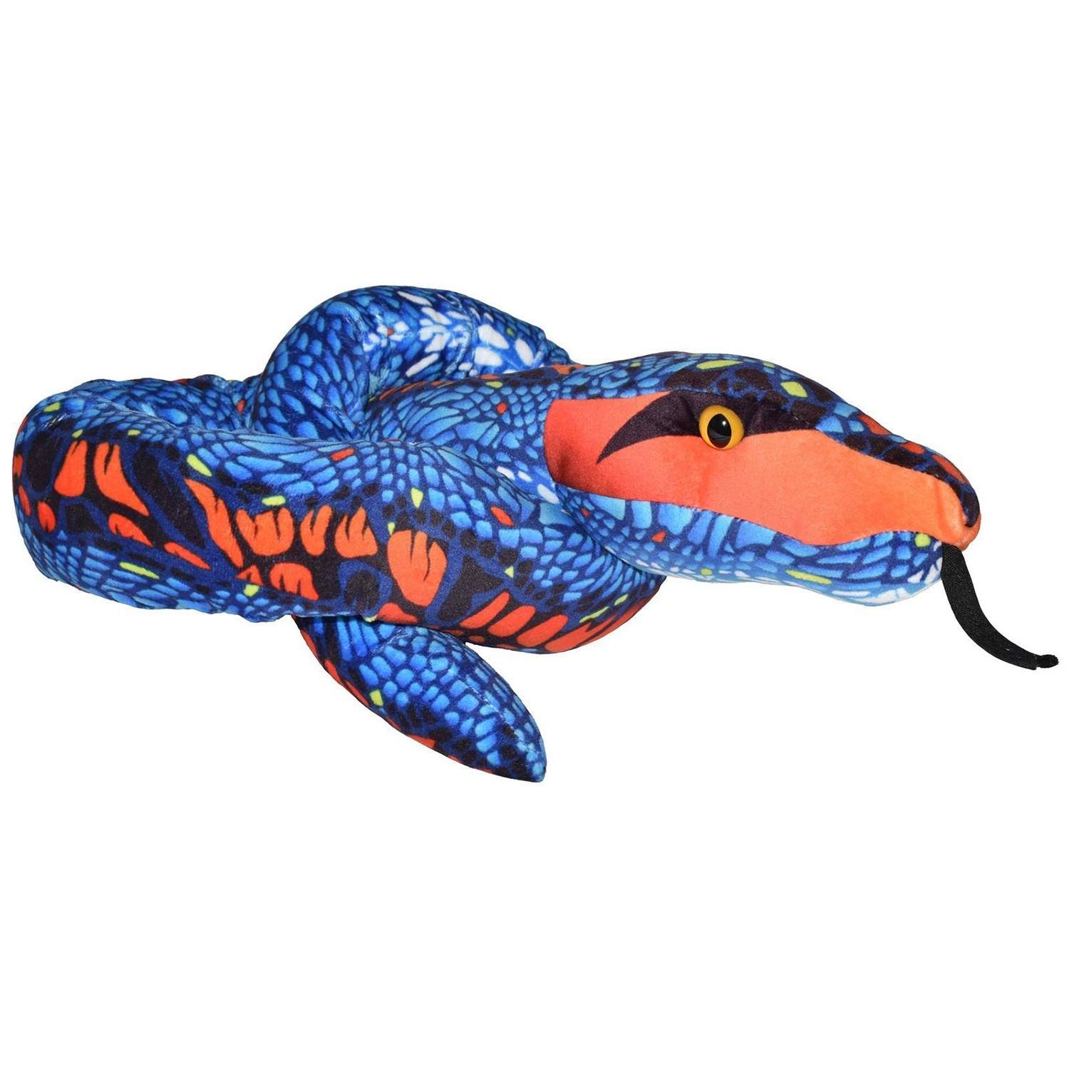WR Snakess 137 cm. Sininen Ja Oranssi