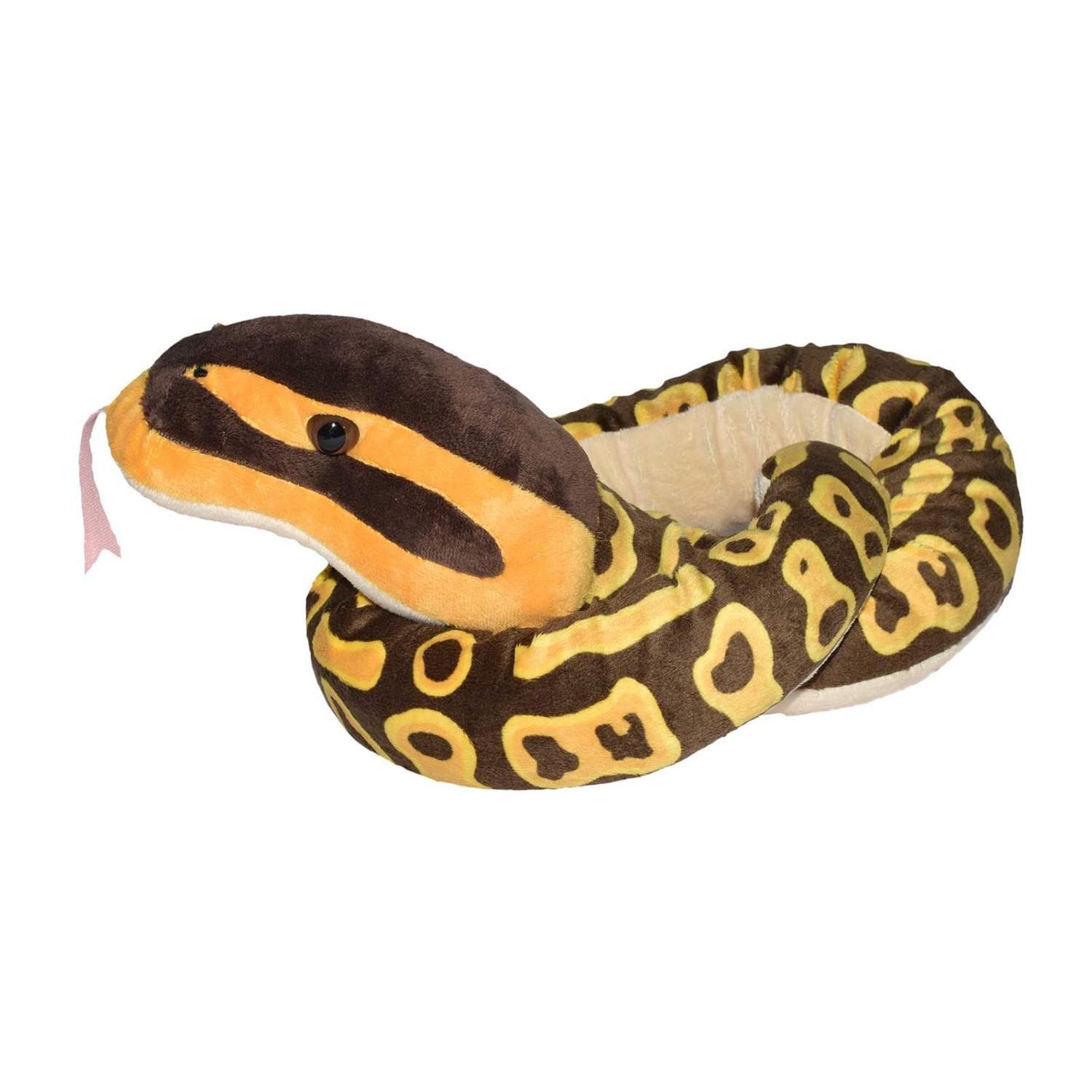 WR Snakess 137 cm. Ball Python