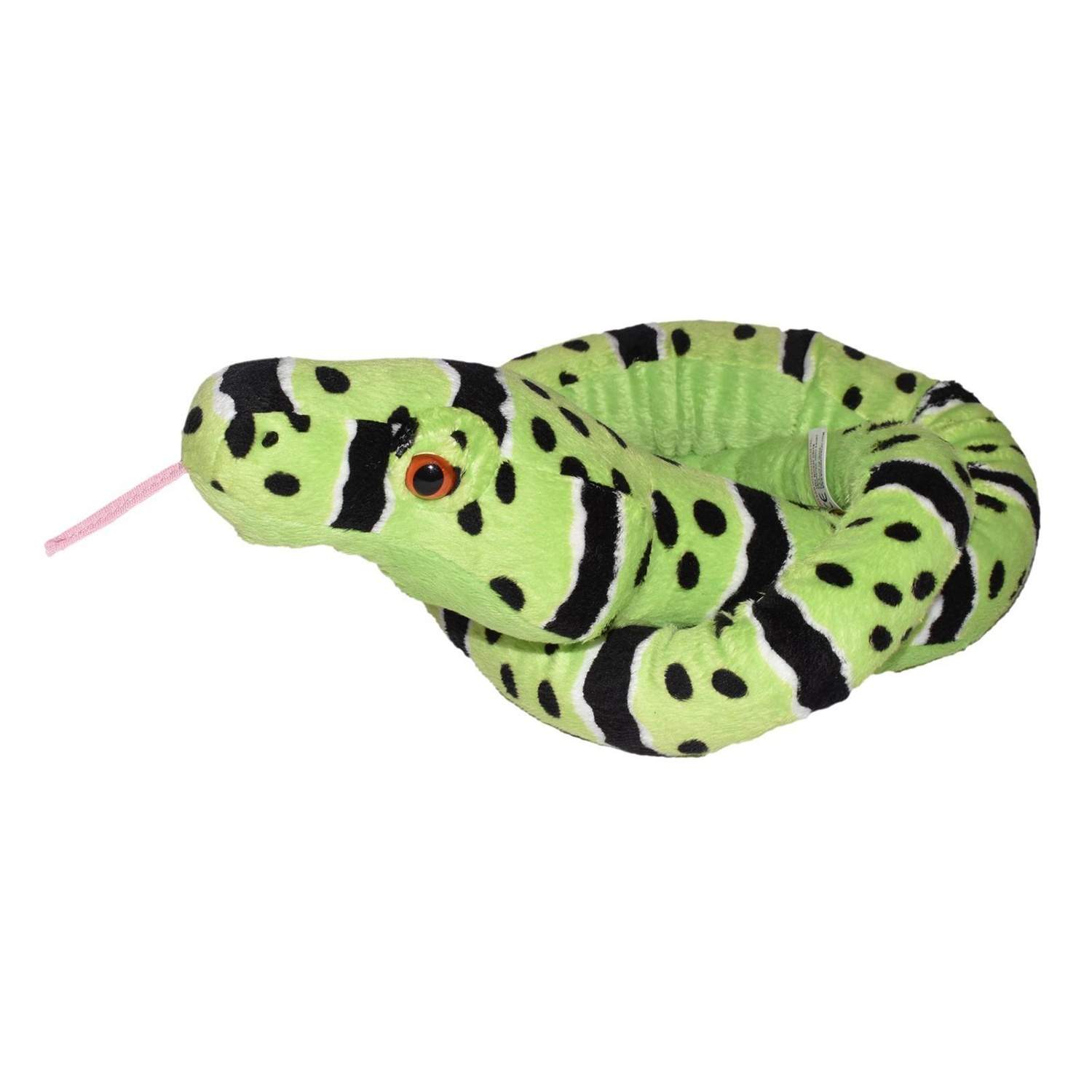 WR Snakess 137 cm. Green Rock Rattle