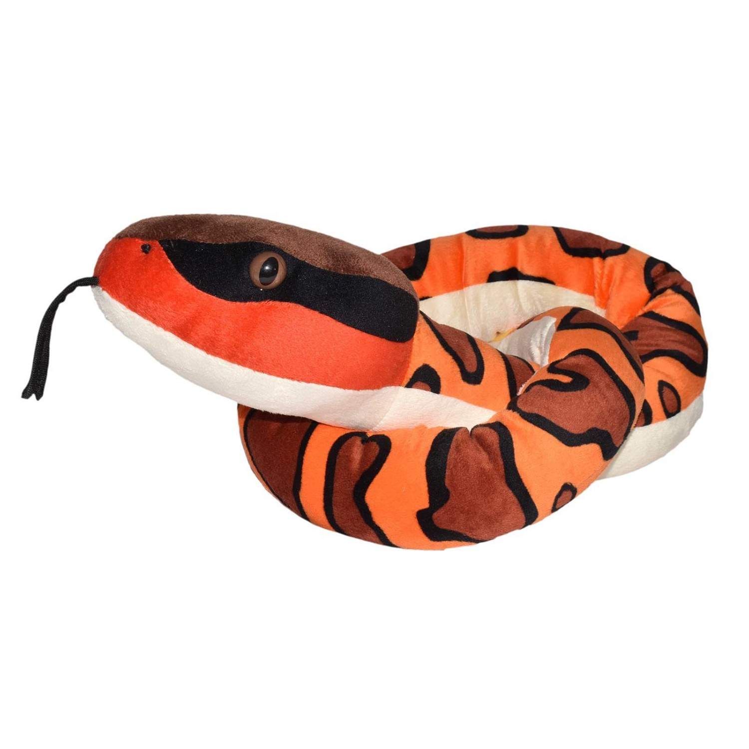 WR Snakess 137 cm. Itäinen Cottonmouth