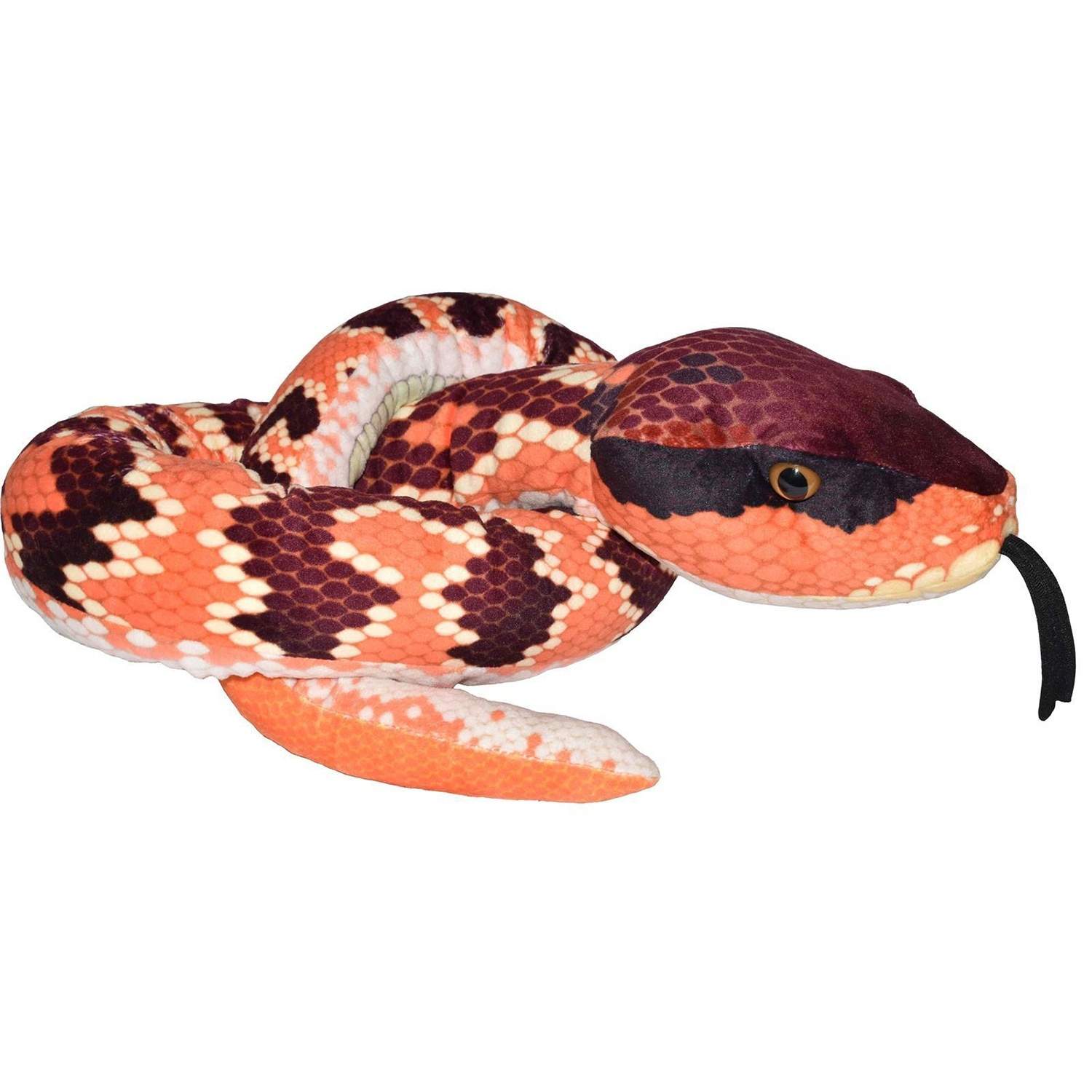 WR Snakess 137 cm. Itäinen puuvillasuu