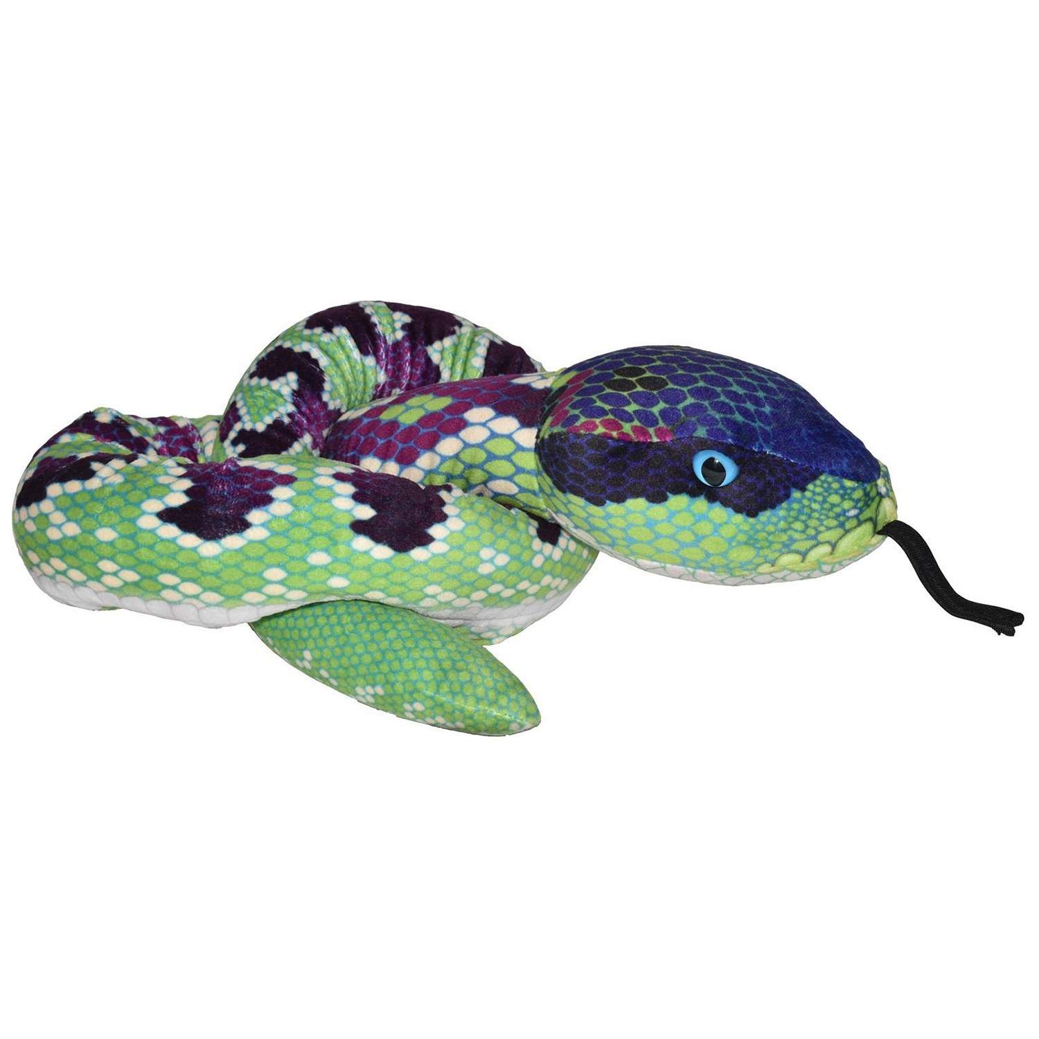 WR Snakess 137 cm. Vihreä violetti