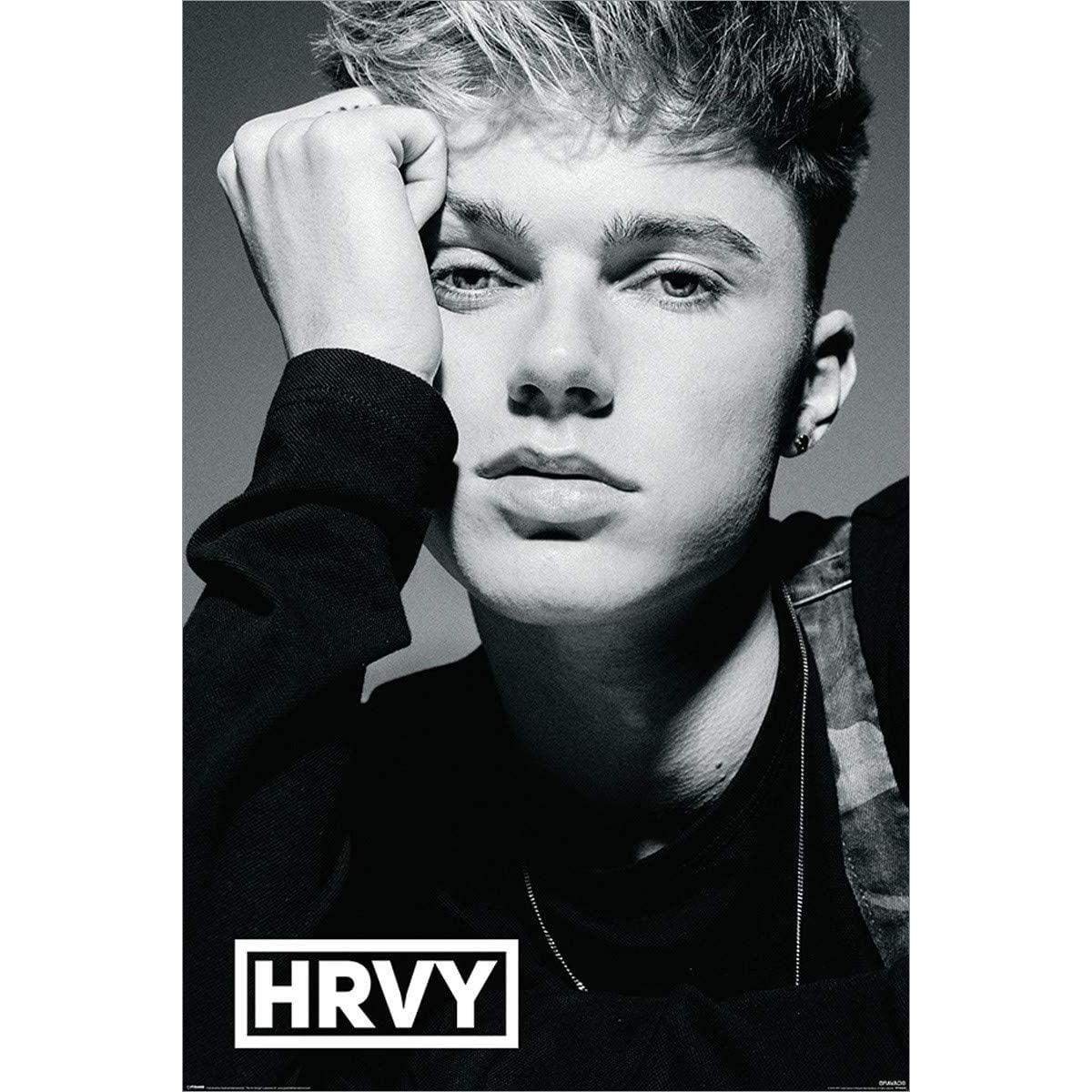 HRVY - Maxi Plakat