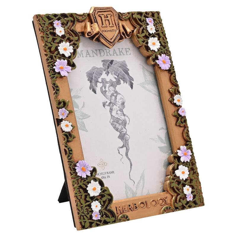 Harry Potter Herbology fotoramme