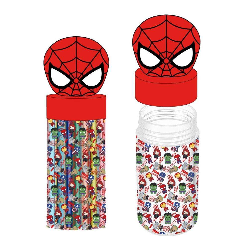 Marvel Avengers pennfodral med kruka