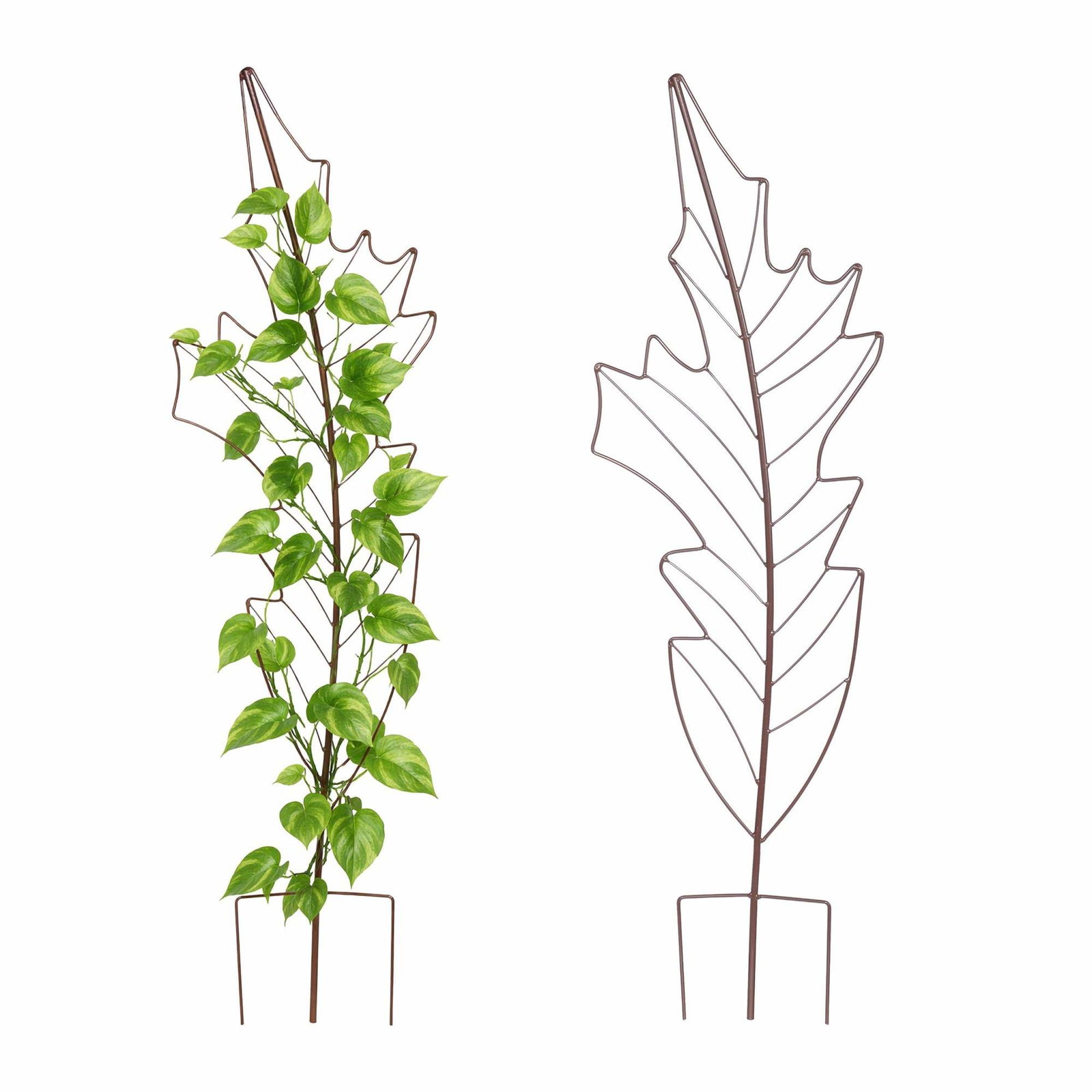 Bladformat metallspaljéset för klätterväxter | Hem & Hobby | Pryloteket