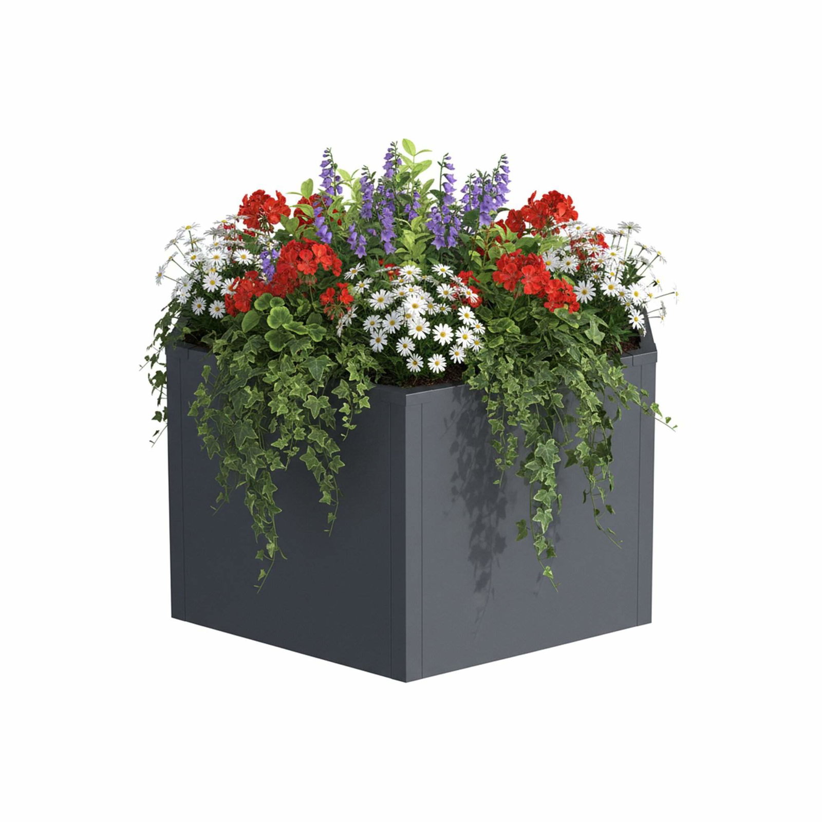 Stålurteplanter – Højbed til nem havearbejde