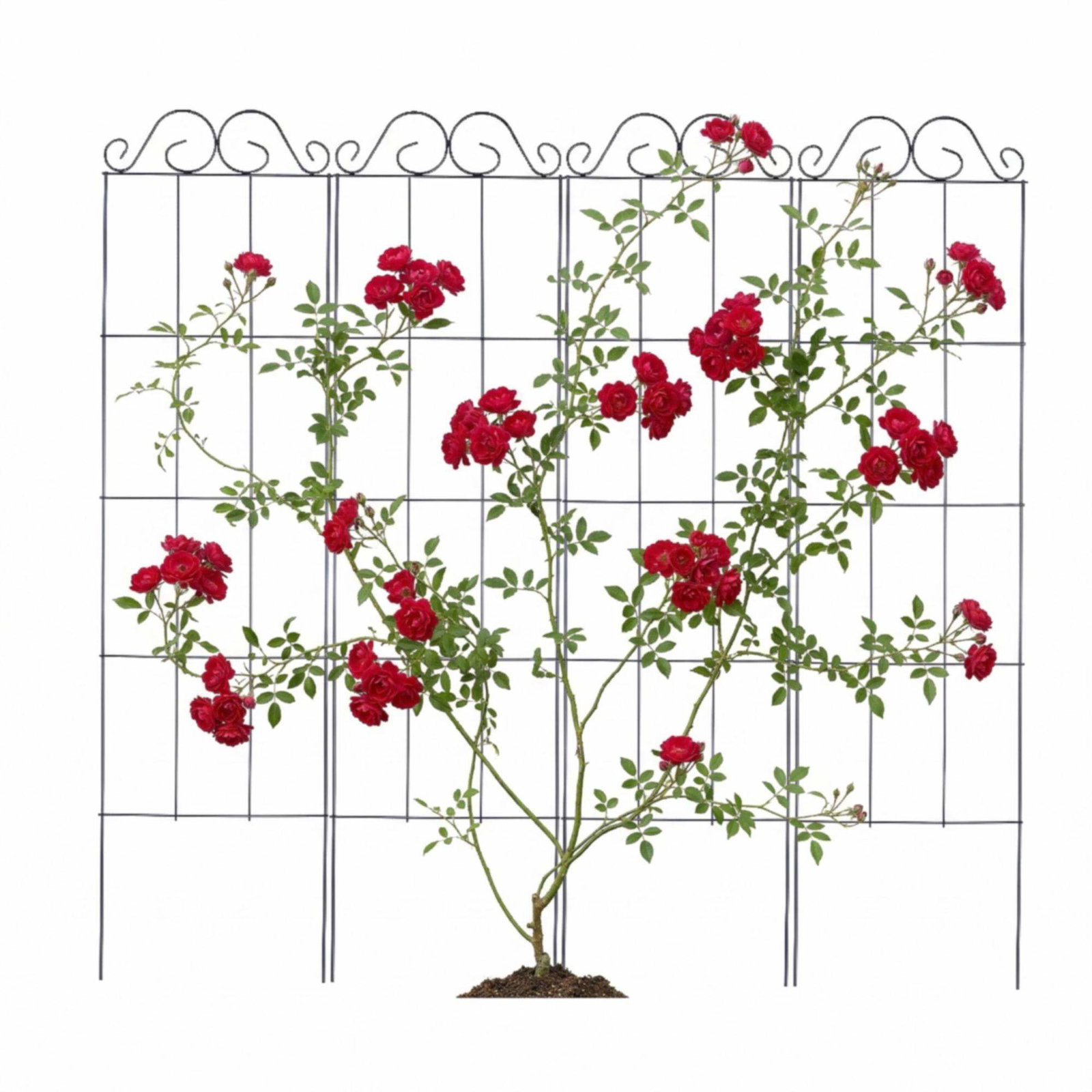 Metallspaljer för klätterväxter – 4-pack | Hem & Hobby | Pryloteket