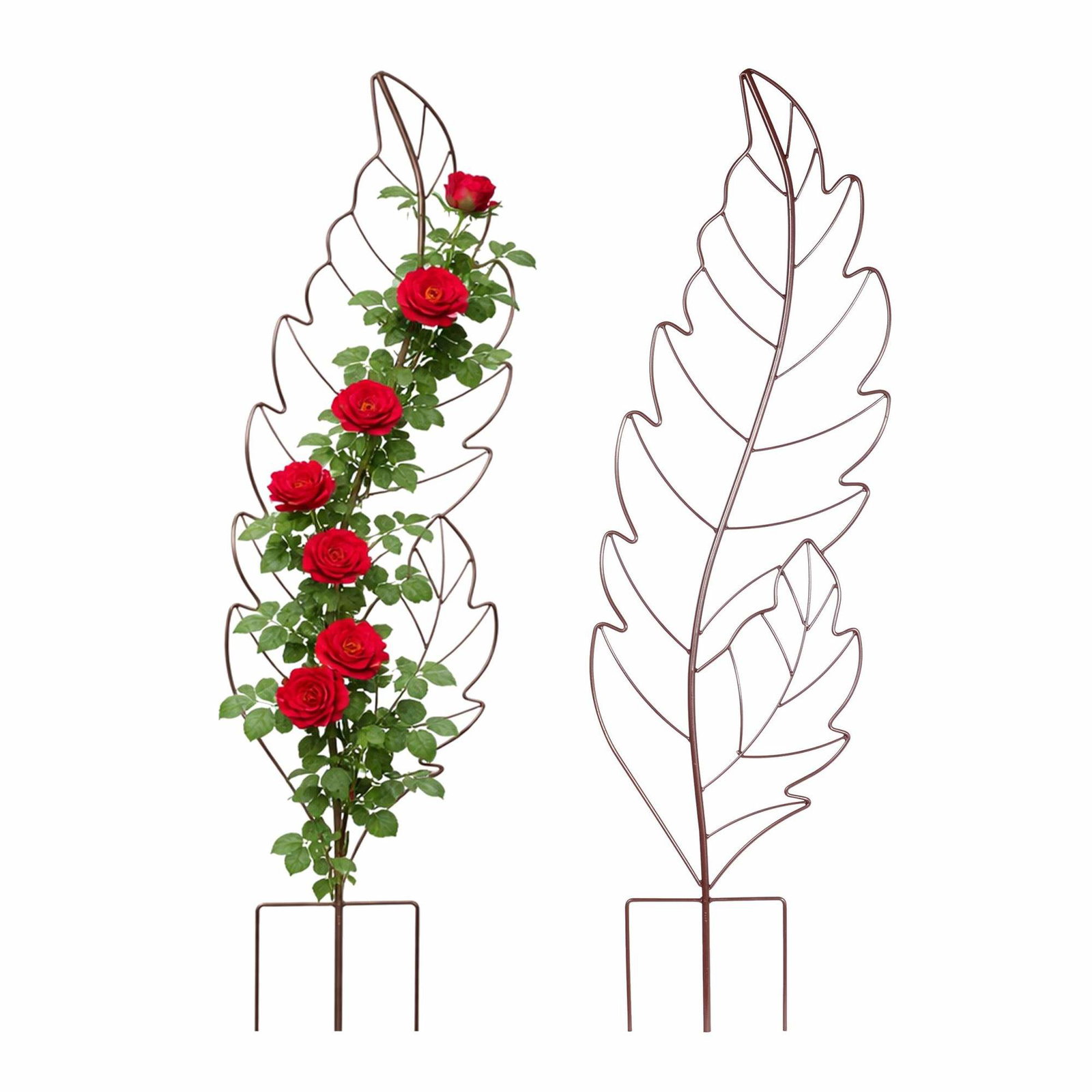 Bladformet metal espaliersæt til klatreplanter