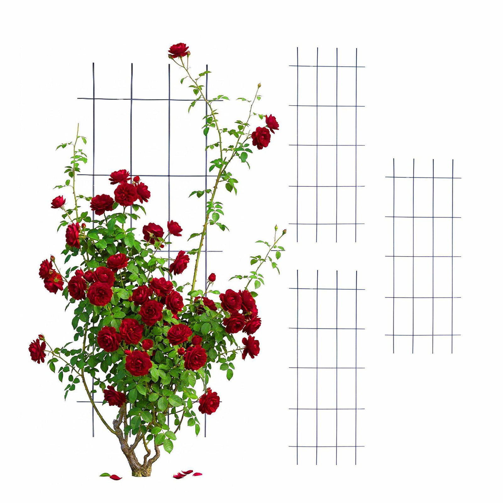 Metalgitter-espaliersæt – Robust, vejrbestandig støtte