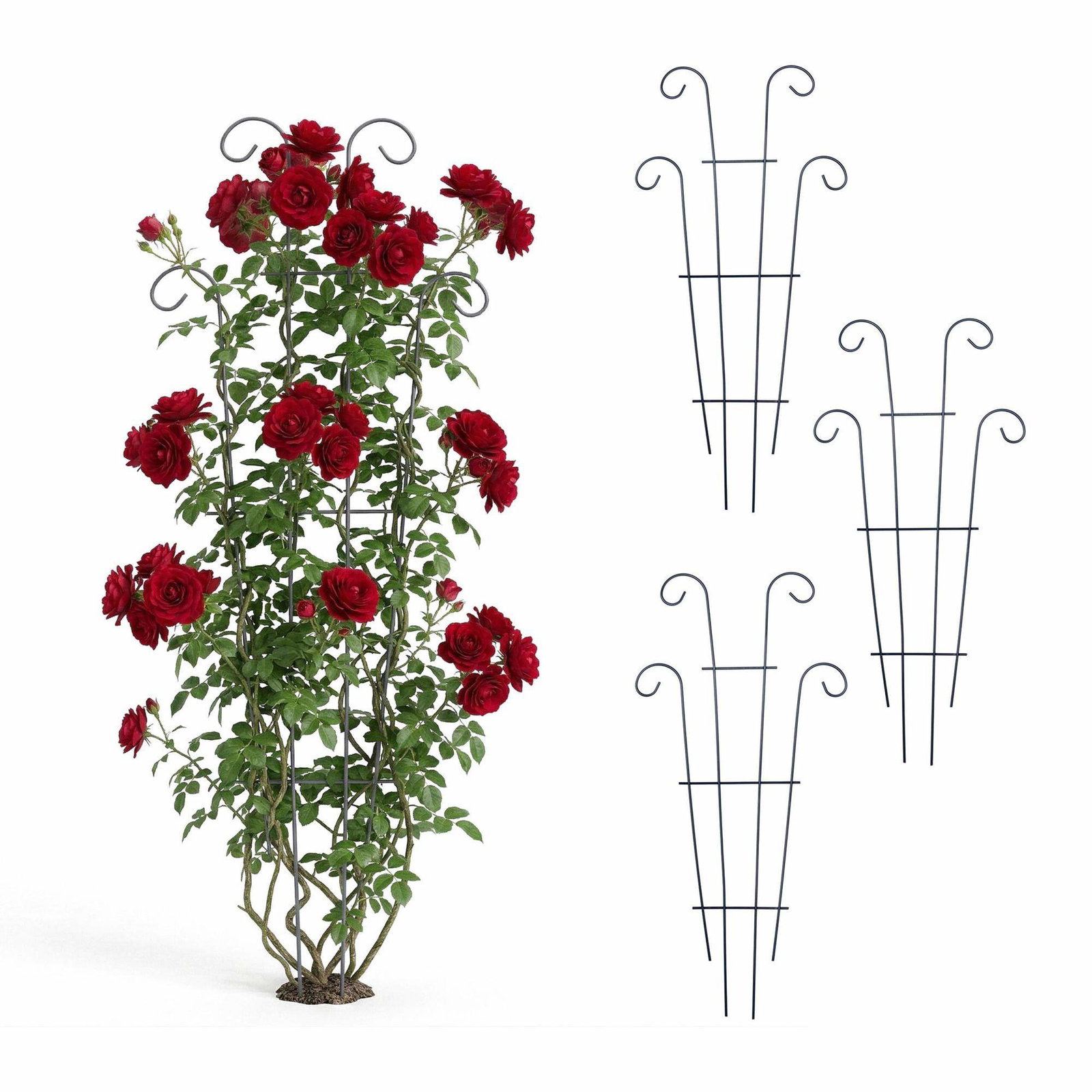 Metallspaljéset i vintagestil för klätterväxter | Hem & Hobby | Pryloteket