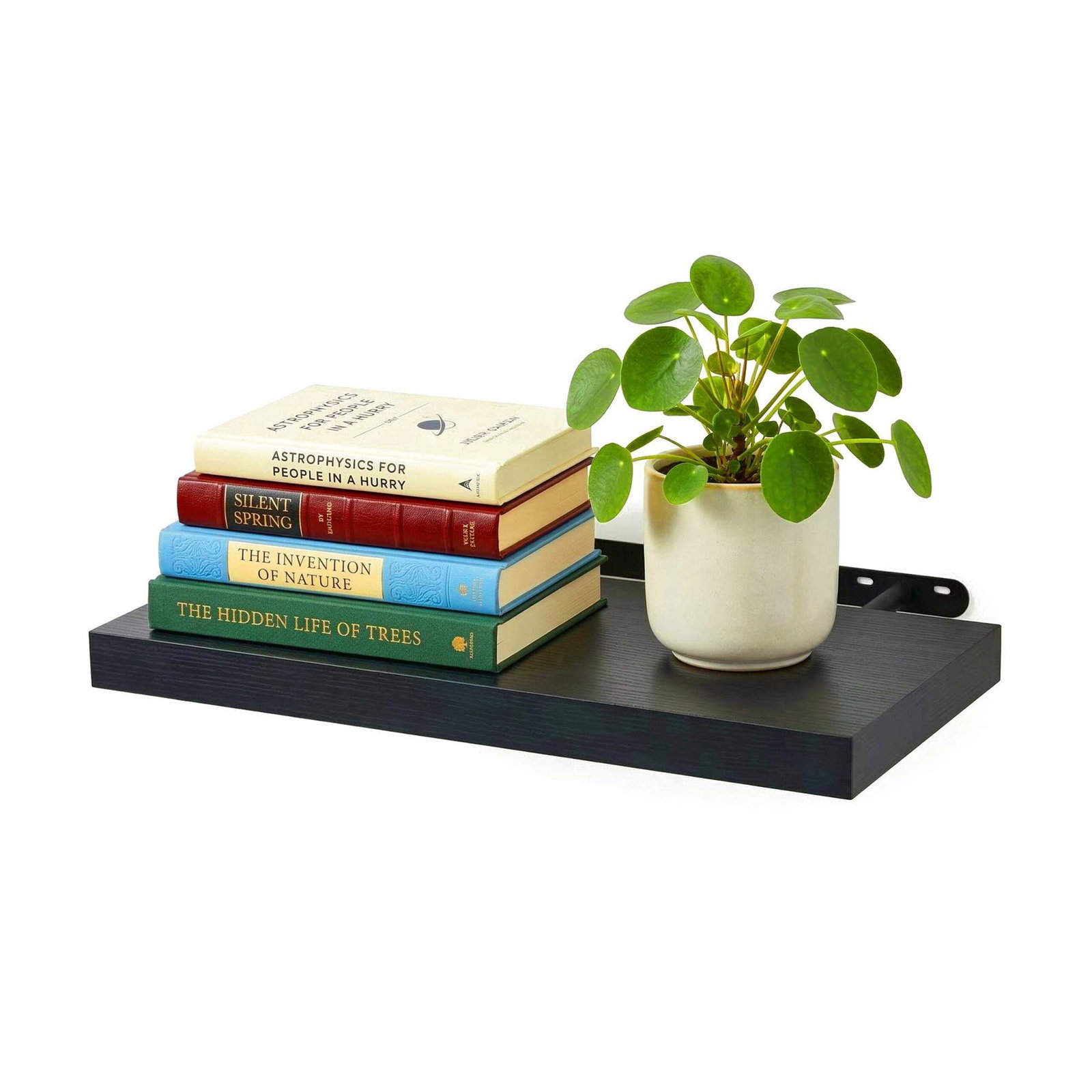 Vägghylla med metallfäste – Vardagsrum eller kök | Hem & Hobby | Pryloteket