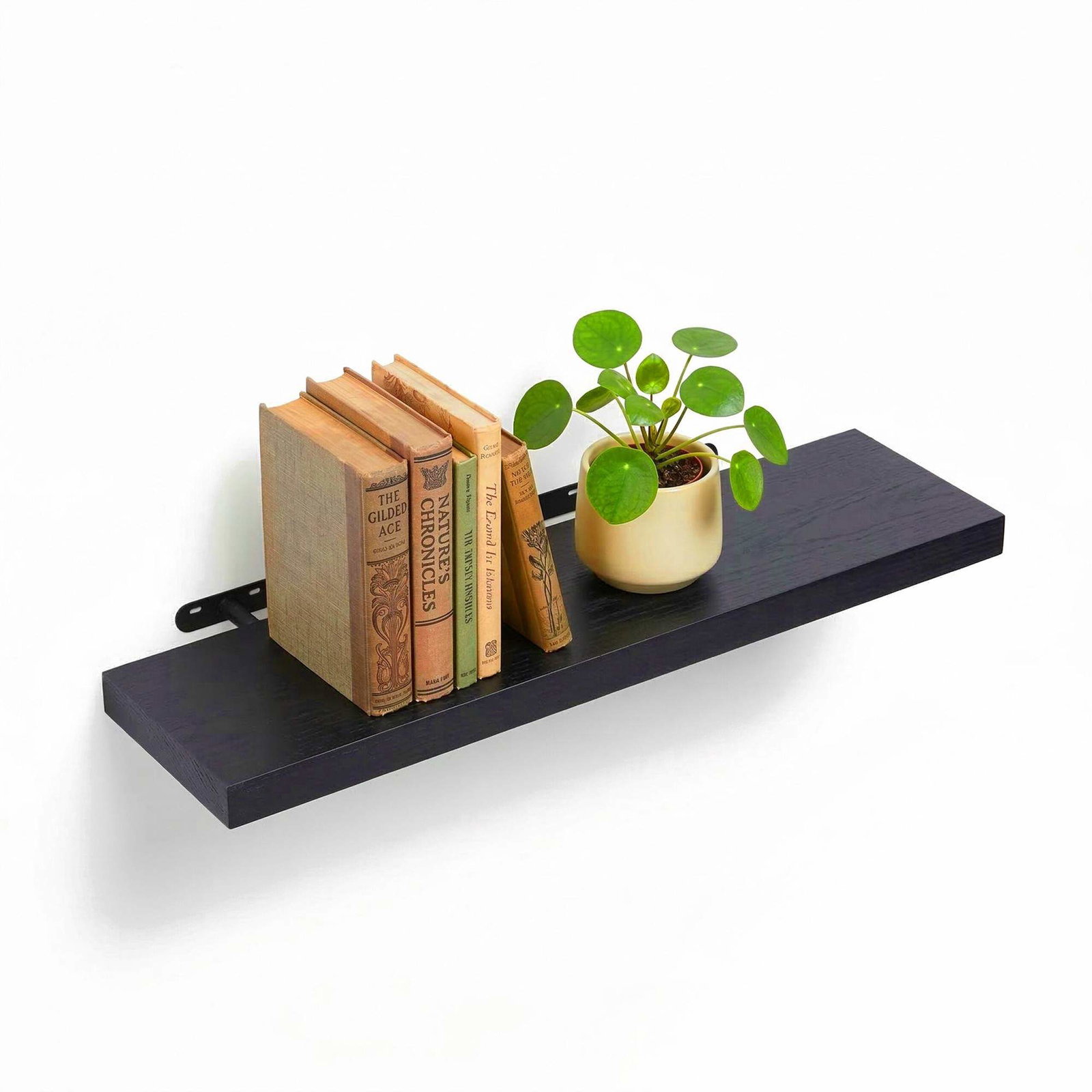 Vägghylla med metallfäste – mångsidig display | Hem & Hobby | Pryloteket