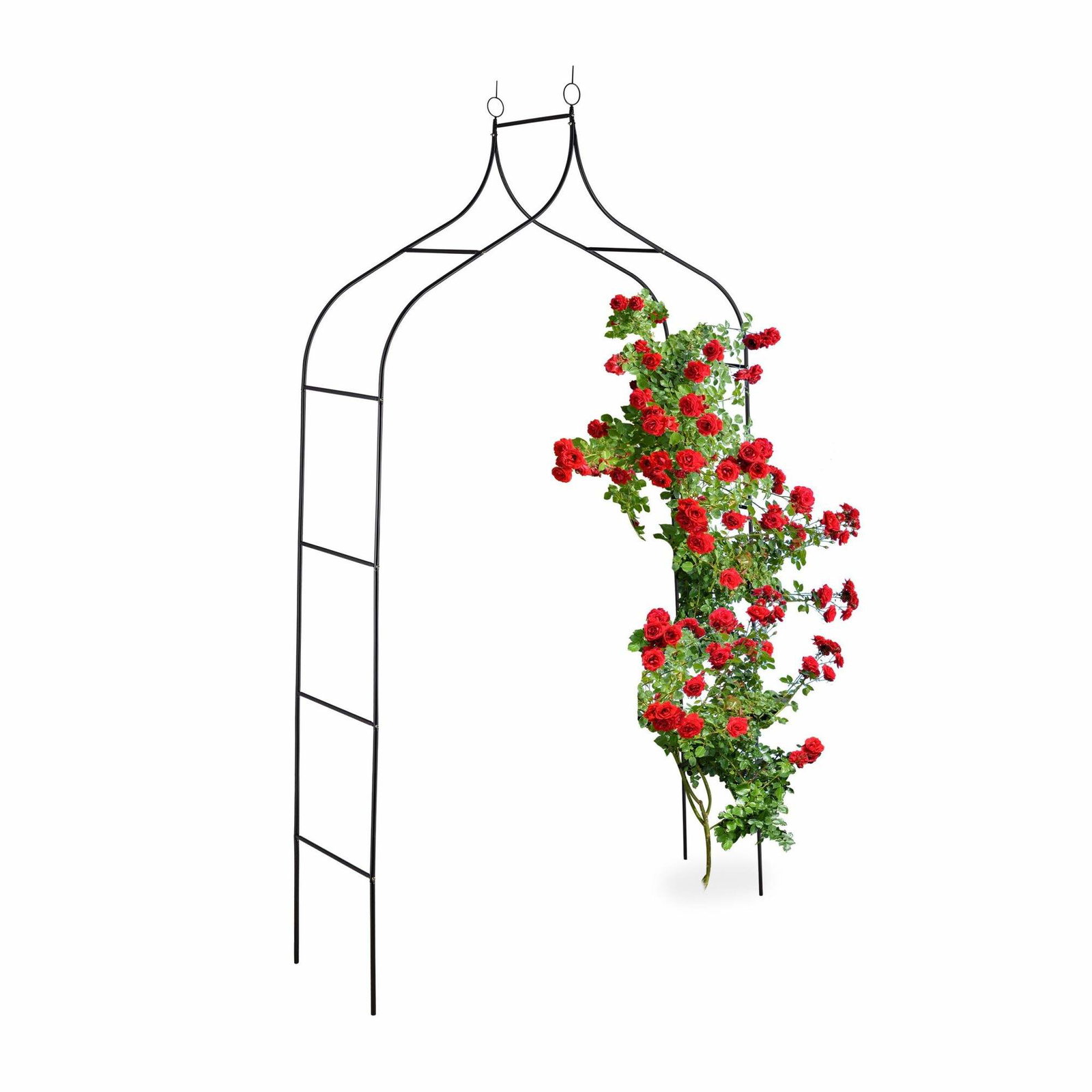Rosenbue 255 cm høj