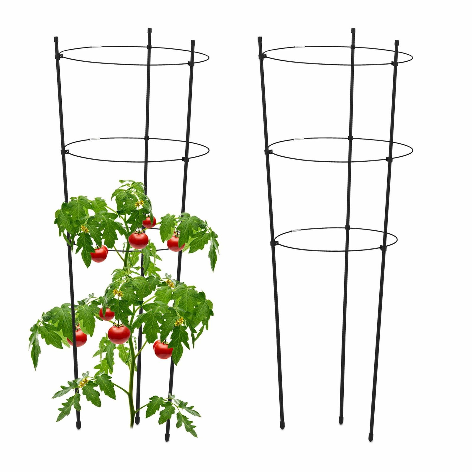 Plantestøtte 76 cm sort, sæt med 2 stk