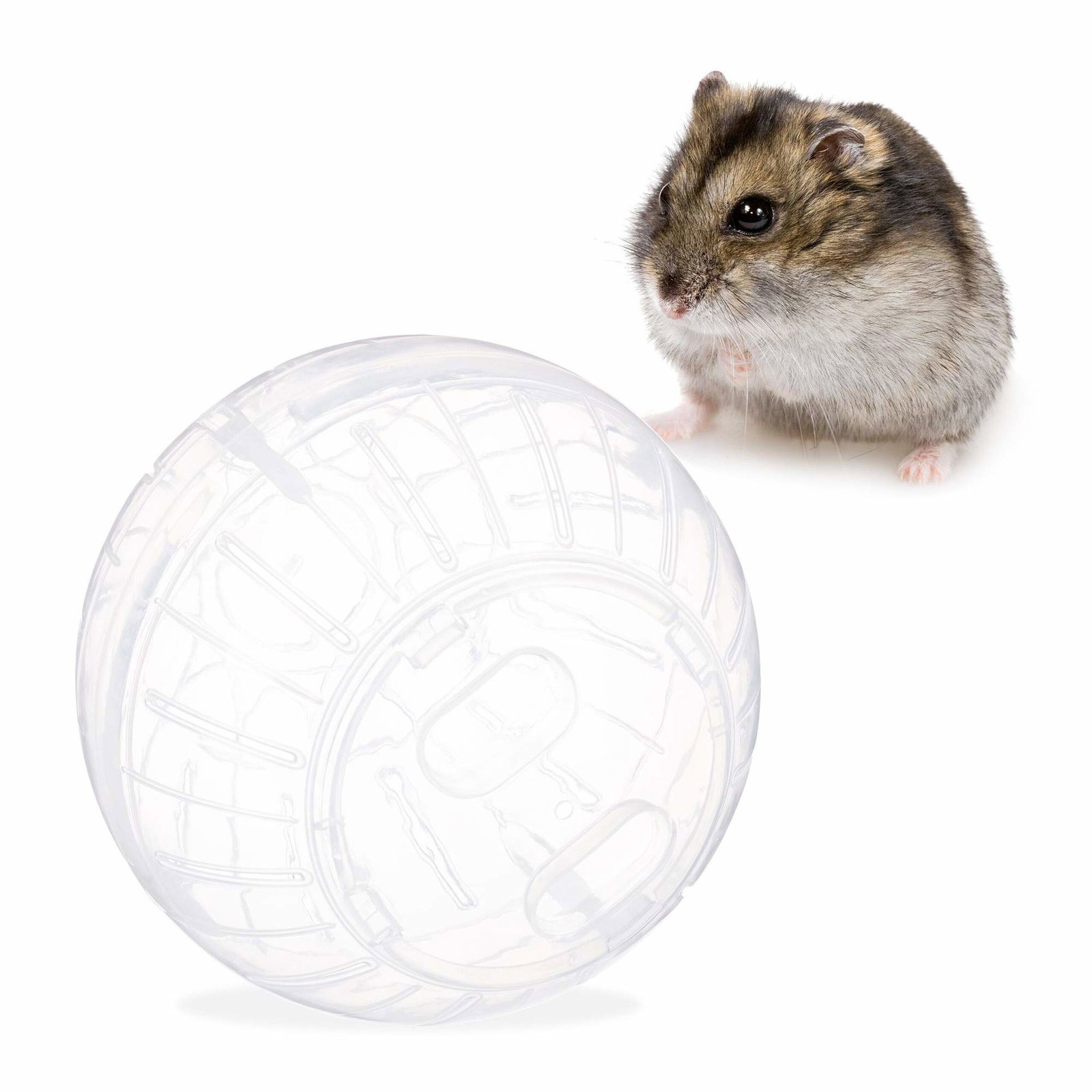 Hamsterkugle gennemsigtig