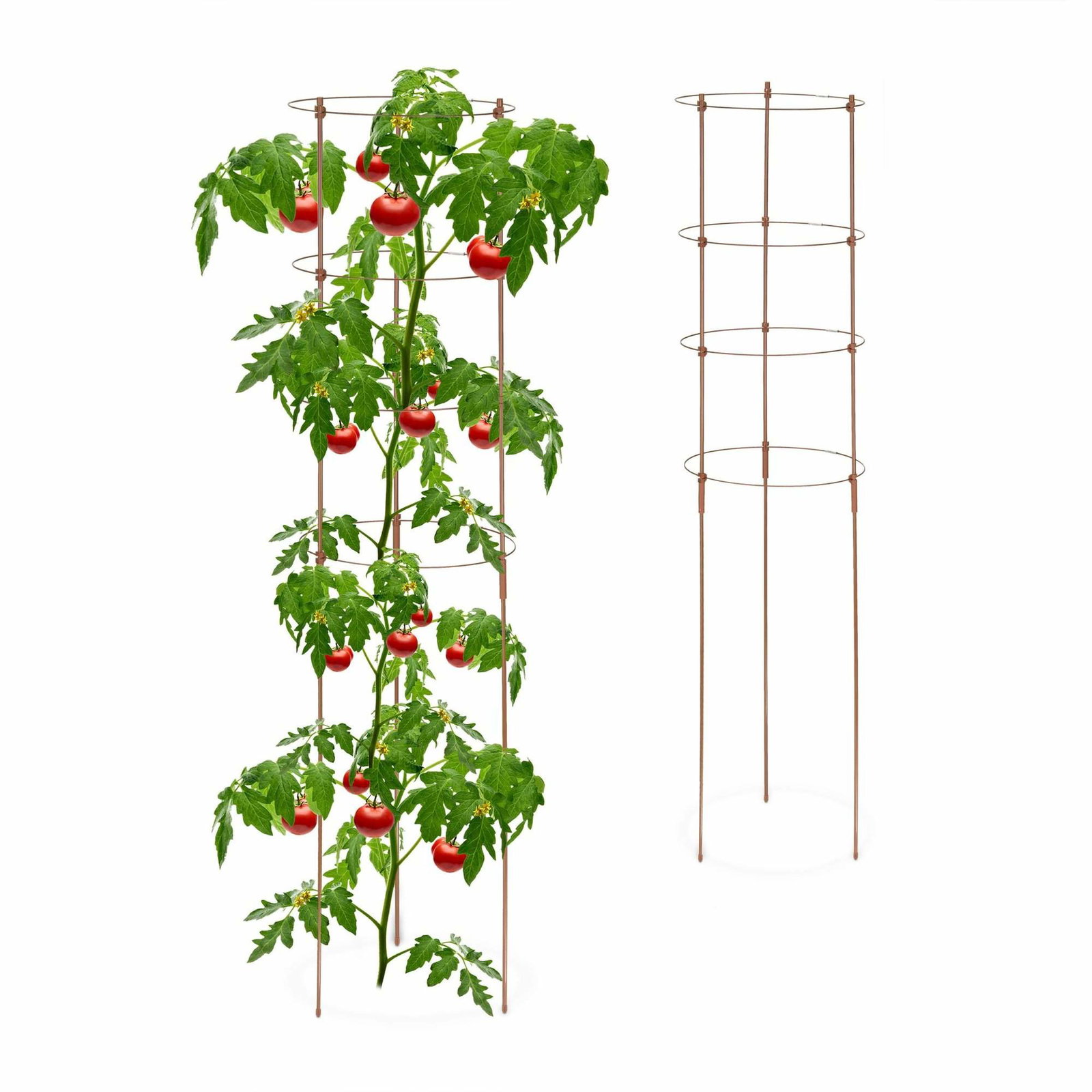 Brune plantestøtter med ringe, 120 cm