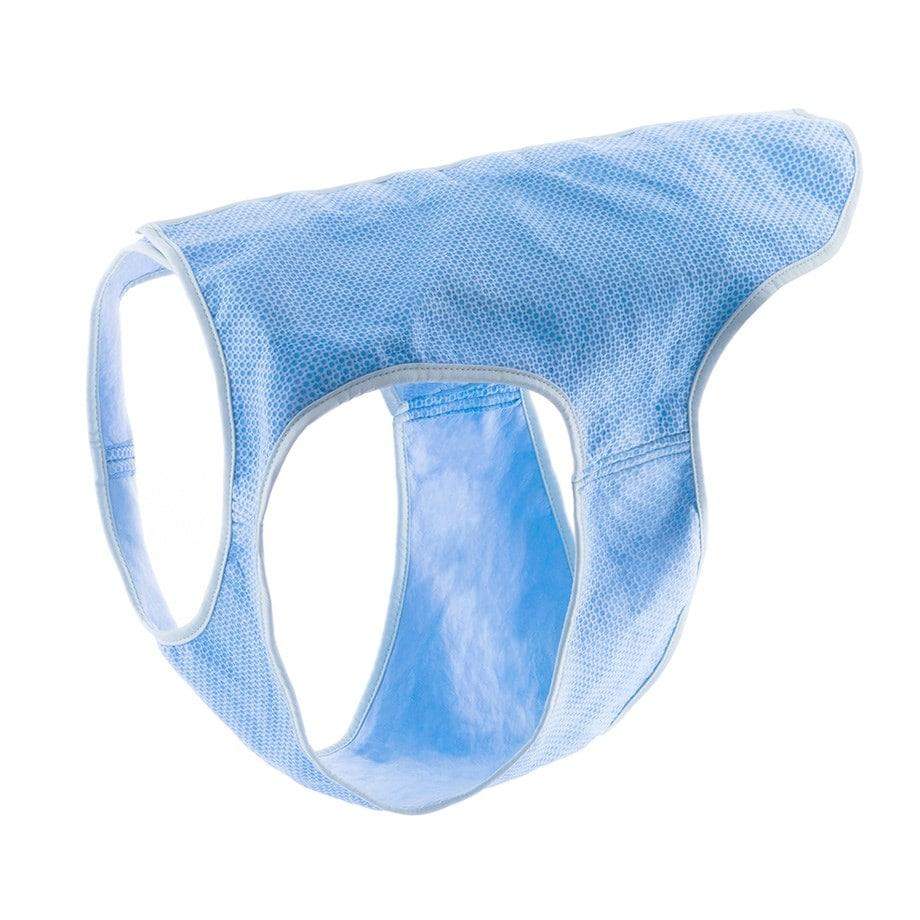 Kølevest til Kæledyr - Størrelse M