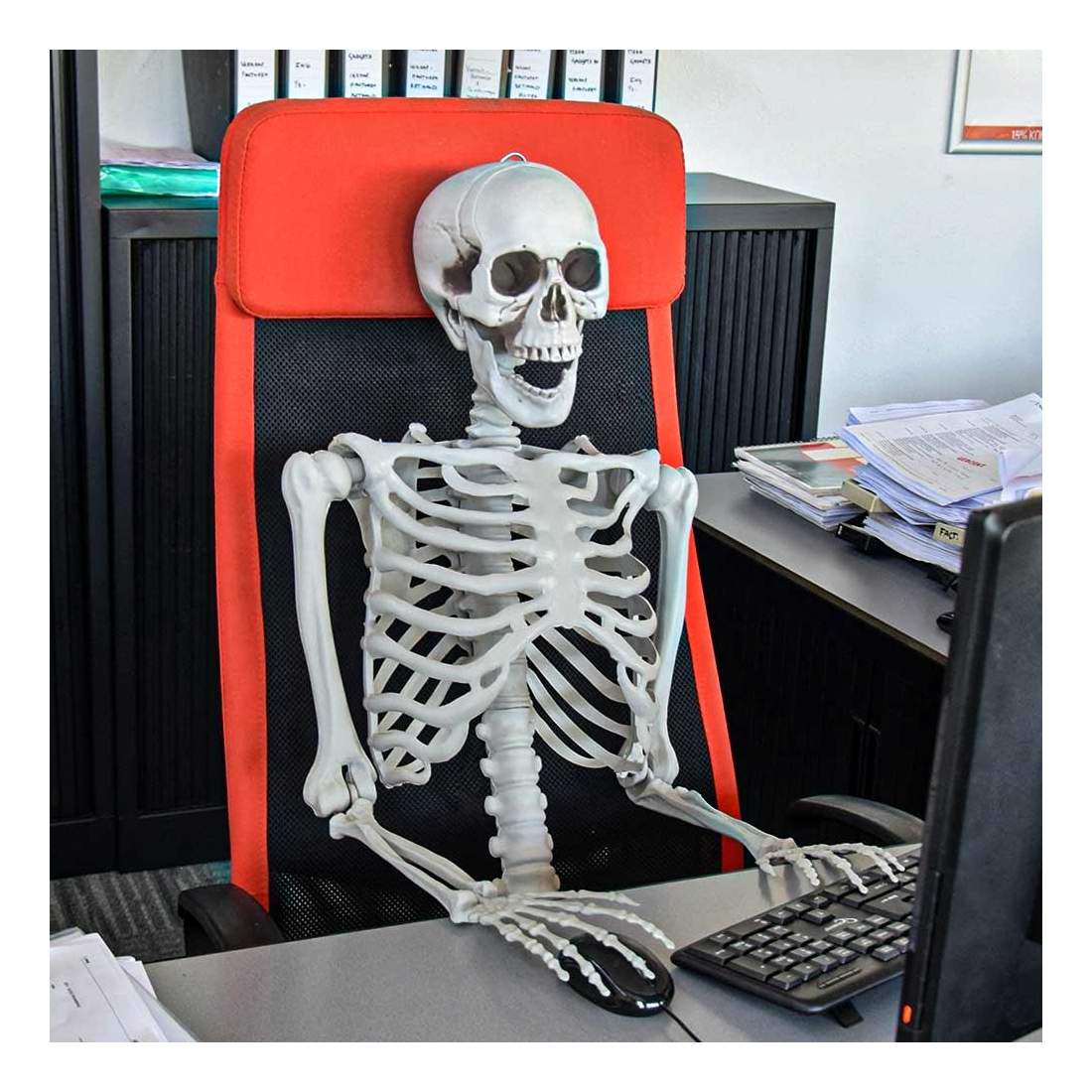 Skelett, Fullstort - 170 cm | Hem & Hobby - Hem & Hushåll - Inredning & Dekoration - Övriga Inredningsdetaljer | Pryloteket