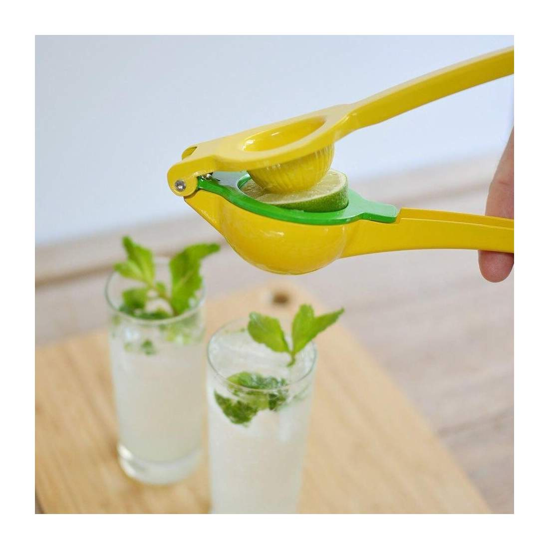 Citrus Press with Double Presses eStore