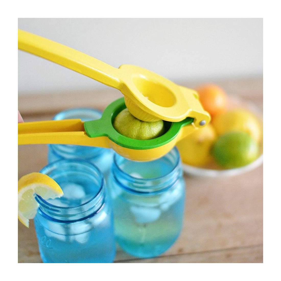 Citrus Press with Double Presses eStore