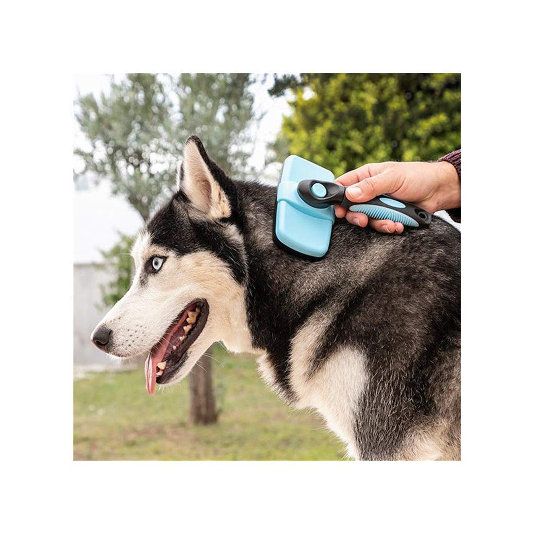 Husdjursborste med Infällbara Piggar | Hem & Hobby - Husdjur - Hund - Borstar & Tillbehör | Pryloteket