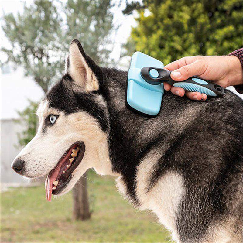 Kæledyrsbørste med Udtrækkelige Pigge