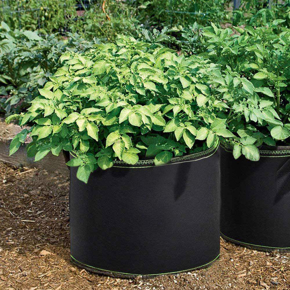 5x Odlingslådor i Nonwoven-tyg - 11 Liter | Hem & Hobby - Hem & Hushåll - Trädgårdsartiklar | Pryloteket