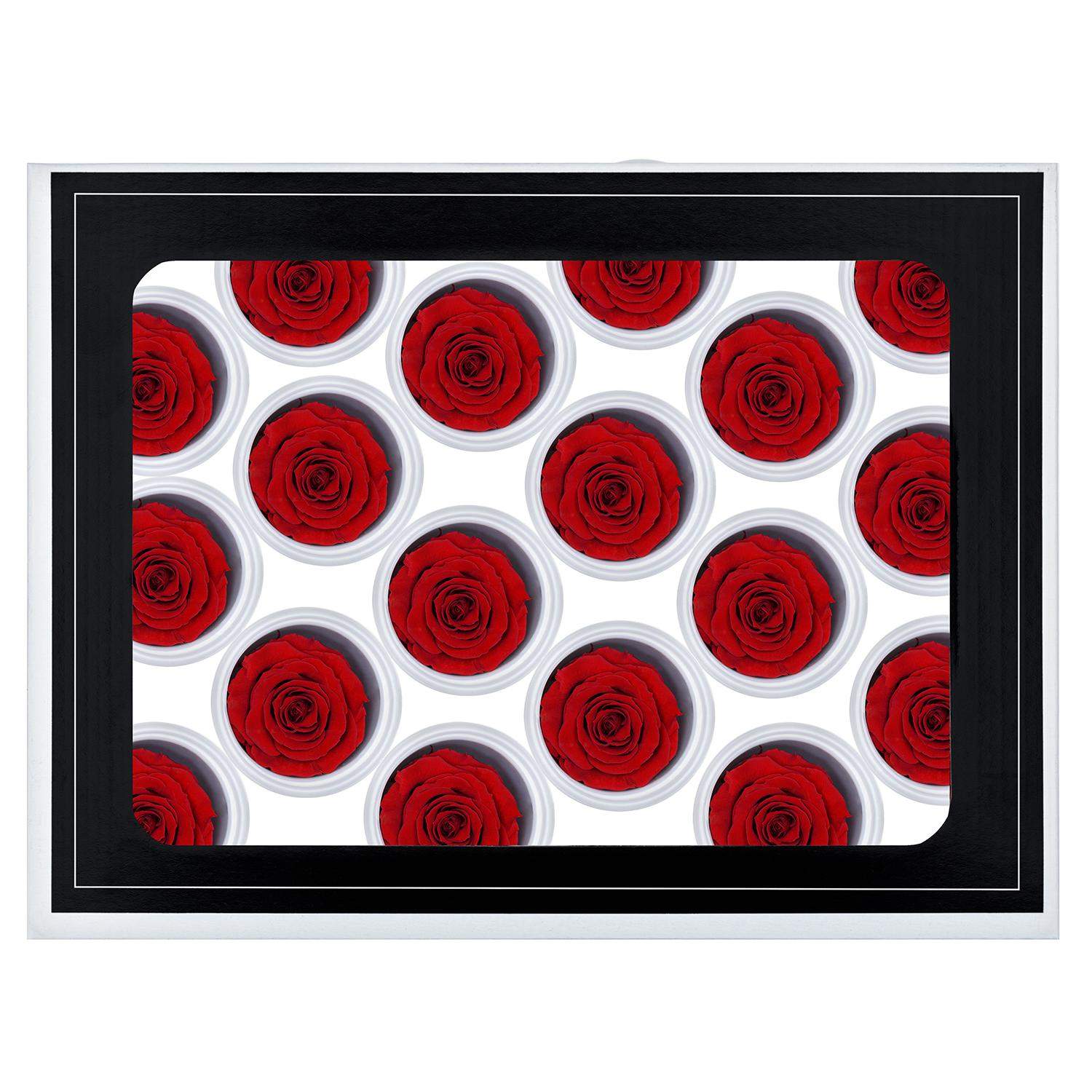 18x Små Evighedsroser