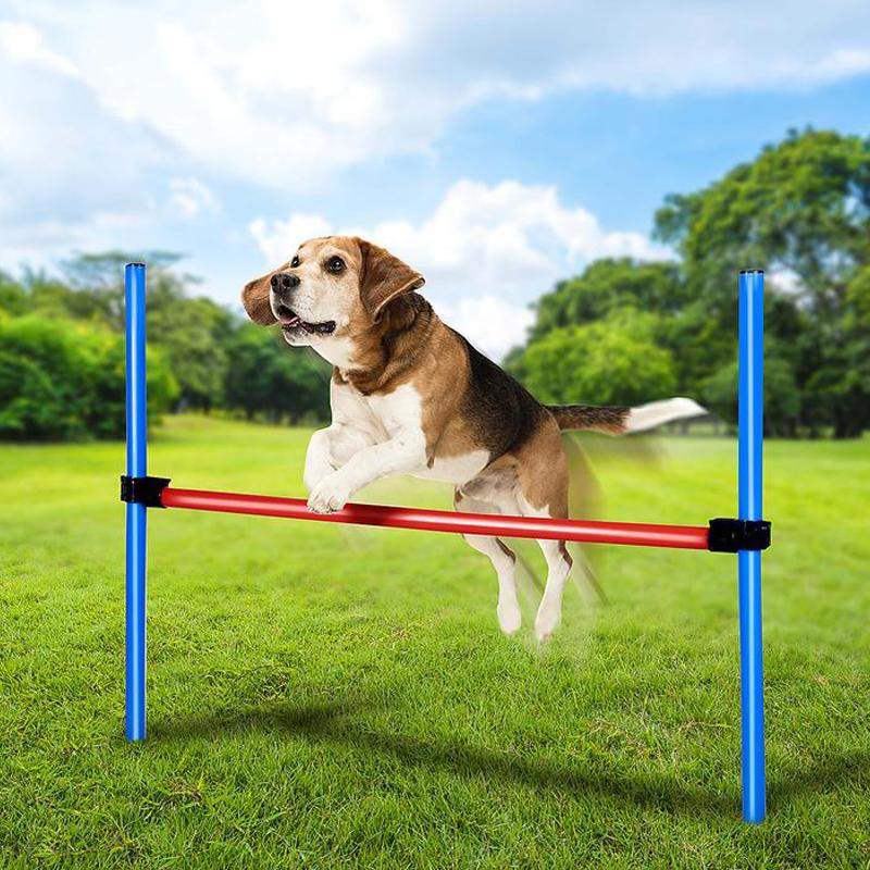 Agility forhindring - 85 x 70 cm