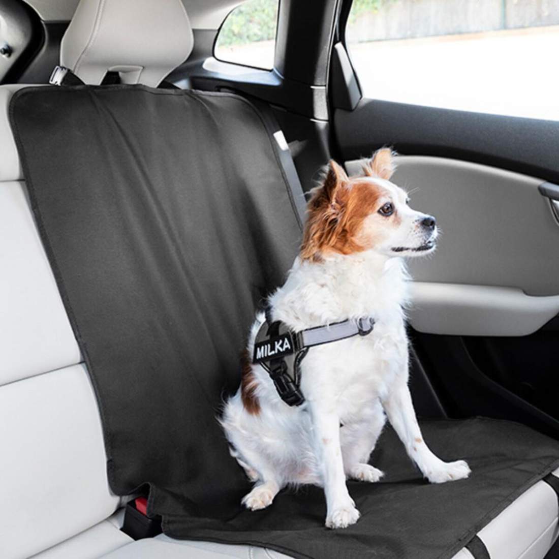 Seat Cover for Pets eStore