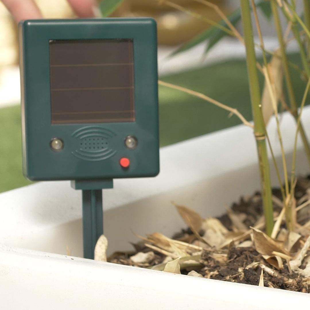 Elektronisk fugleskræmsel