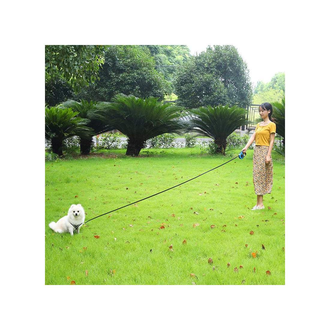 Retractable Dog Leash, 5 m White eStore