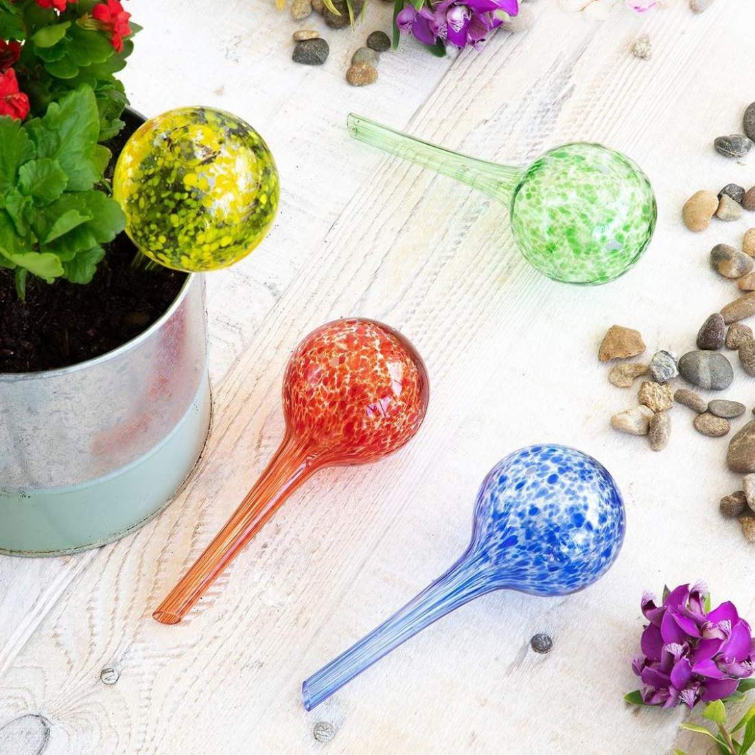 4x Watering Globes in Glass